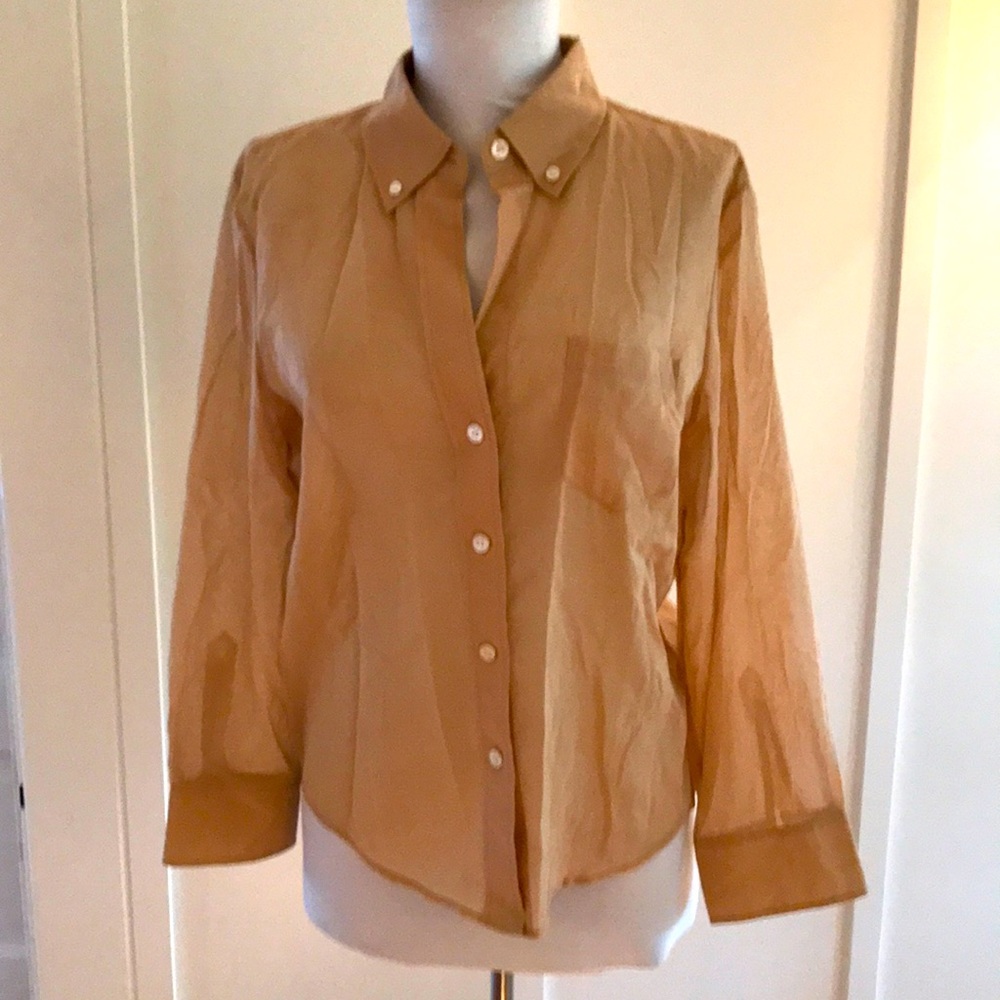 Theory sheer neutral button down blouse M